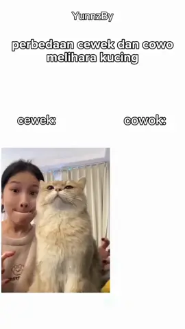 😭 DAH PASRAH KUCING NYA#kucinglucu #catlucu 