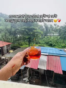 ফেলে রাখা ফুল গুলো কেউ না কেউ সযত্নে তুলে নেয়,সময় সবারই আসে 😊❤️‍🩹#trending #foryou 