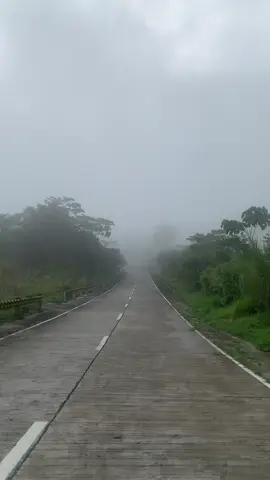 Just 30-35 minutes away from General Santos City, along the San Jose Tboli bypass road. You’ll find a hidden spot that feels like a reset button for your soul.                               This is your sign para mag roadtrip here at Tbolok ano tara na 🌴☘️🍃.                #lovmoto #roadtrip #ridesafe #travelvlog #natures #soloride 