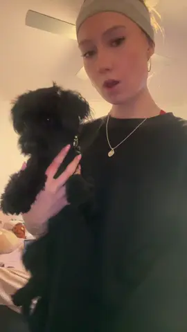 this song stuck in my head 