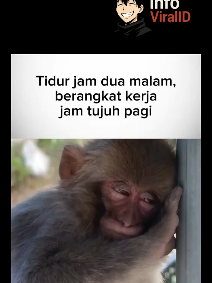 Kurang Tidur Tapi Tetap Harus Kerja 😩☕️ Tidur jam 2 malam, berangkat kerja jam 7 pagi… siapa yang sering ngalamin kayak gini? 😂💤 Ekspresi lelah campur pasrah ini pasti relate banget buat para pekerja keras. #kerjakeras #mondayvibes #kurangtidur #relatememe #lucuindonesia #fyp #memeindonesia #capektapihepi