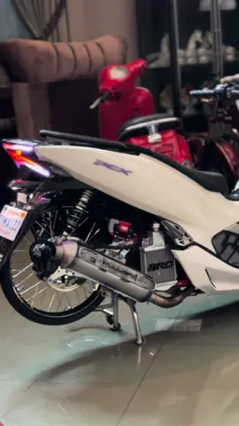 halooo bosssss🤩🤙🏻#fyp #pcx150 #fyupage 