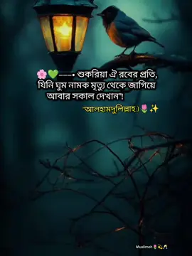 𝗔𝗹𝗵𝗮𝗺𝗱𝘂𝗹𝗶𝗹𝗹𝗮𝗵🌷✨ #tik_tok #islamic_video  #tiktokbangladesh🇧🇩 #flypシーforyouunfreezmytiktokacound 