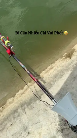 Đi câu nhiều cái vui phết 🤣🤣🤣 #câu_đài #câucá #tienminhquang #TMQFS 