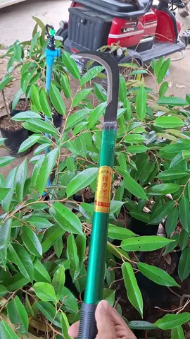 #เคียวแมงกานีส #เคียวแมงกานีสด้ามเหล็ก #เทรนวันนี้ #ป้ายยา #ขึ้นฟีดเถอะ 