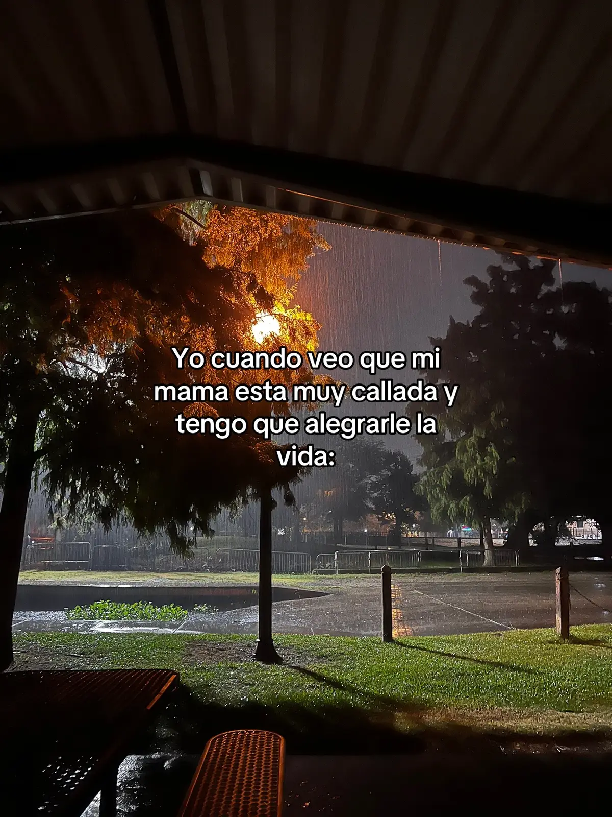 #paratii #fyp #viral #fypシ 