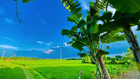 কাকে ক্ষমা করবো,  ভু'ল তো সব সময়...সব জায়গায় আমি-ই করি! 🙂#প্রকৃতি #sky #anfeezemyaccont #viral_video_tiktok #foryoupageofficiall @💫আকাশের ঠিকানা 💥 