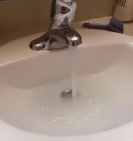 She really enjoyed  #fyp #viral #memes #funny #cats #cat #shower #bath 