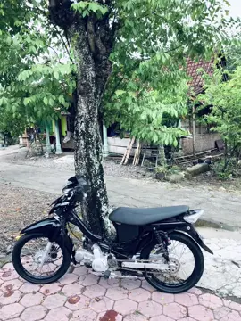 #supragank🚀 #cseriesgank🚀 