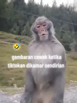 dah biasa dah #4upage #fyp #foryoupage #4 #bernadatiktok 