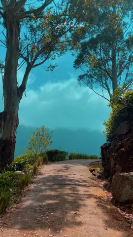 නිල් අහසට හාදු තබන සුලඟට කියමි.. ගහ කොල වයන තනුවක ගීතය වෙන්න.. නිල්ලට හුරු මේ ඇස් පින් කල බව දනිමි.. මිය යන දිනක සිහි කර සැනහෙන්න.. ~ Unknown Soul 🍃♥️ ~ #travel #travelblogger #travelsrilanka #bestplacestovisit #foruyou 