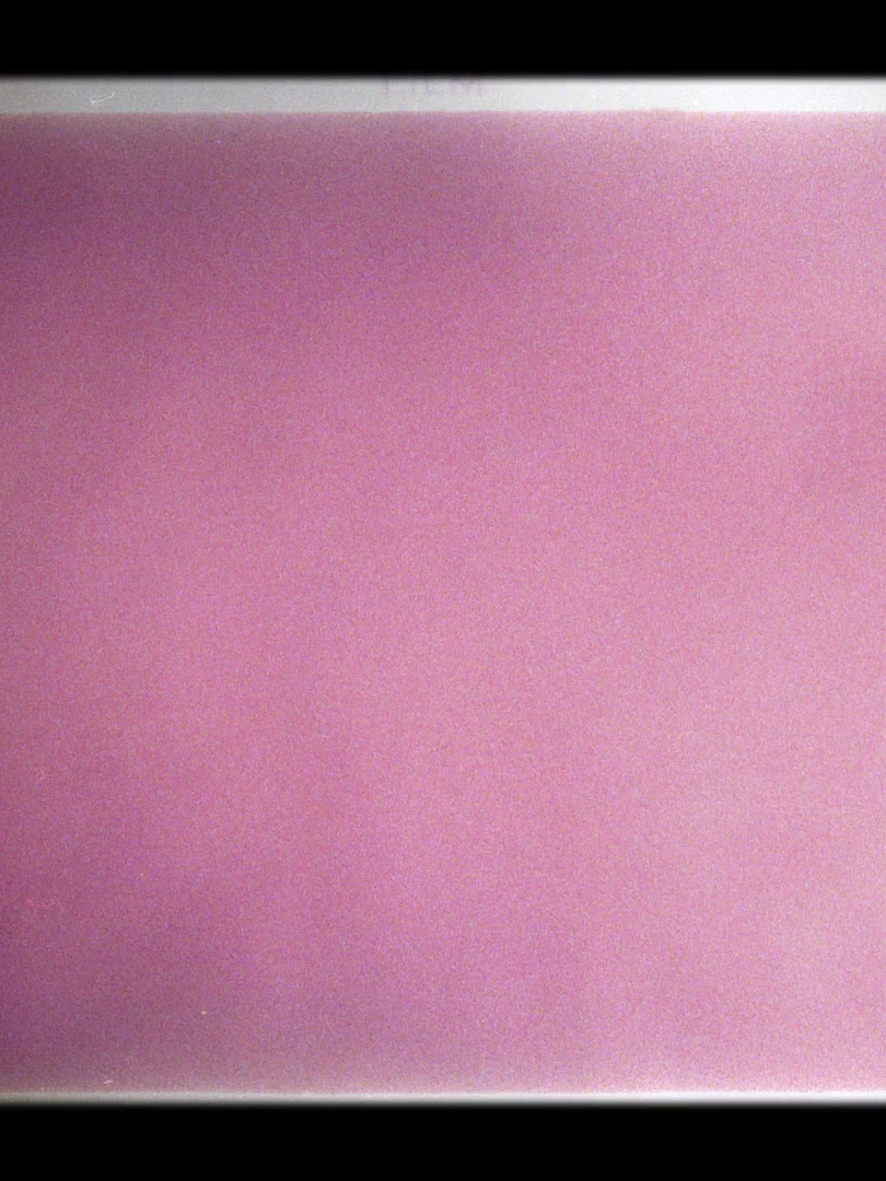 lavender buds - 10 things i hate about you #loop #loopedit  #mfdoom #doom #10thingsihataboutyou #10thingsihateaboutyouedit #fyp #ae #tut #aesthetic #editingtutorial #alightmotion #aftereffects #soundcloud #rap #10tihay #heathledger #juliastiles #edit #editor #shakes #scales #jugg #viral