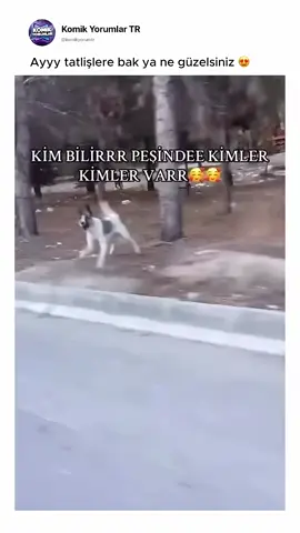 Oyun istiyorlar abisi 😂😂