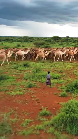 #soomalitiktok2025🇸🇴🇸🇴🇸🇴🇸🇴🇸🇴🇸🇴😍💯 #galmudugnimo💙🤍💚 #dhulsoomaliyed🇸🇴🇸🇴🏞🇸🇴🏞🇸🇴 #hirshabelle💙🤍💚jowhar🌴🌴 #hirshabelle💙🤍💚jowhar🌴🌴 