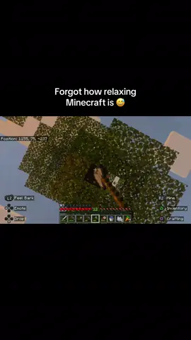 Glad I didn’t overreact 😅 #Minecraft #minecraftfunny @ollie.chandler2014 