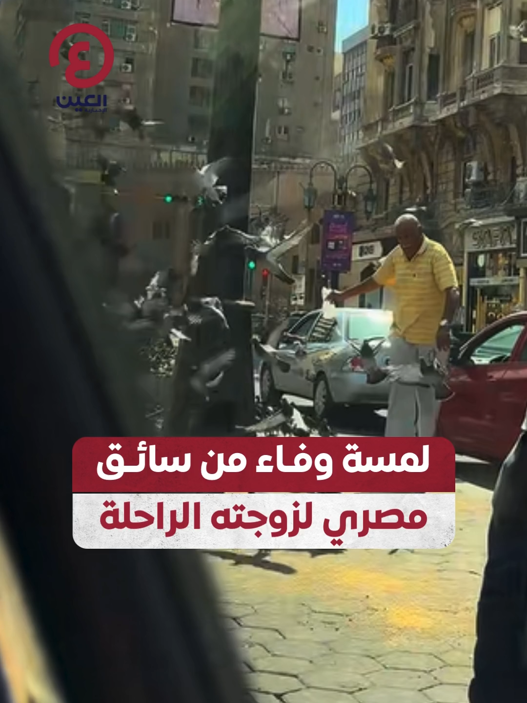 لمسة وفاء استثنائية.. سائق مصري يوقف سيارته ليطعم الحمام على روح زوجته الراحلة 🕊️❤️ #عينك_على_العالم #مصر