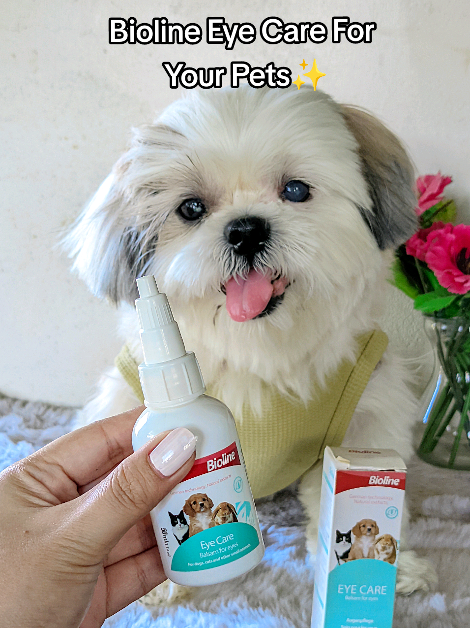 The holy grail for a brighter, tear-stain free face for our furbabies. 🐶🐾✨ #bioline #eyecare #eyecareforpets #tearstainremover #fypシ゚ 