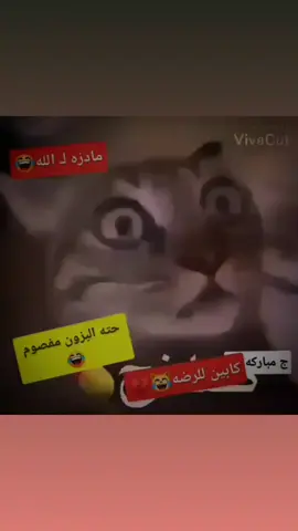 #مجرررررررد_______ذووووووووق💞💞 #عبارات_جميلة_وقويه😉🖤 #لايكات 