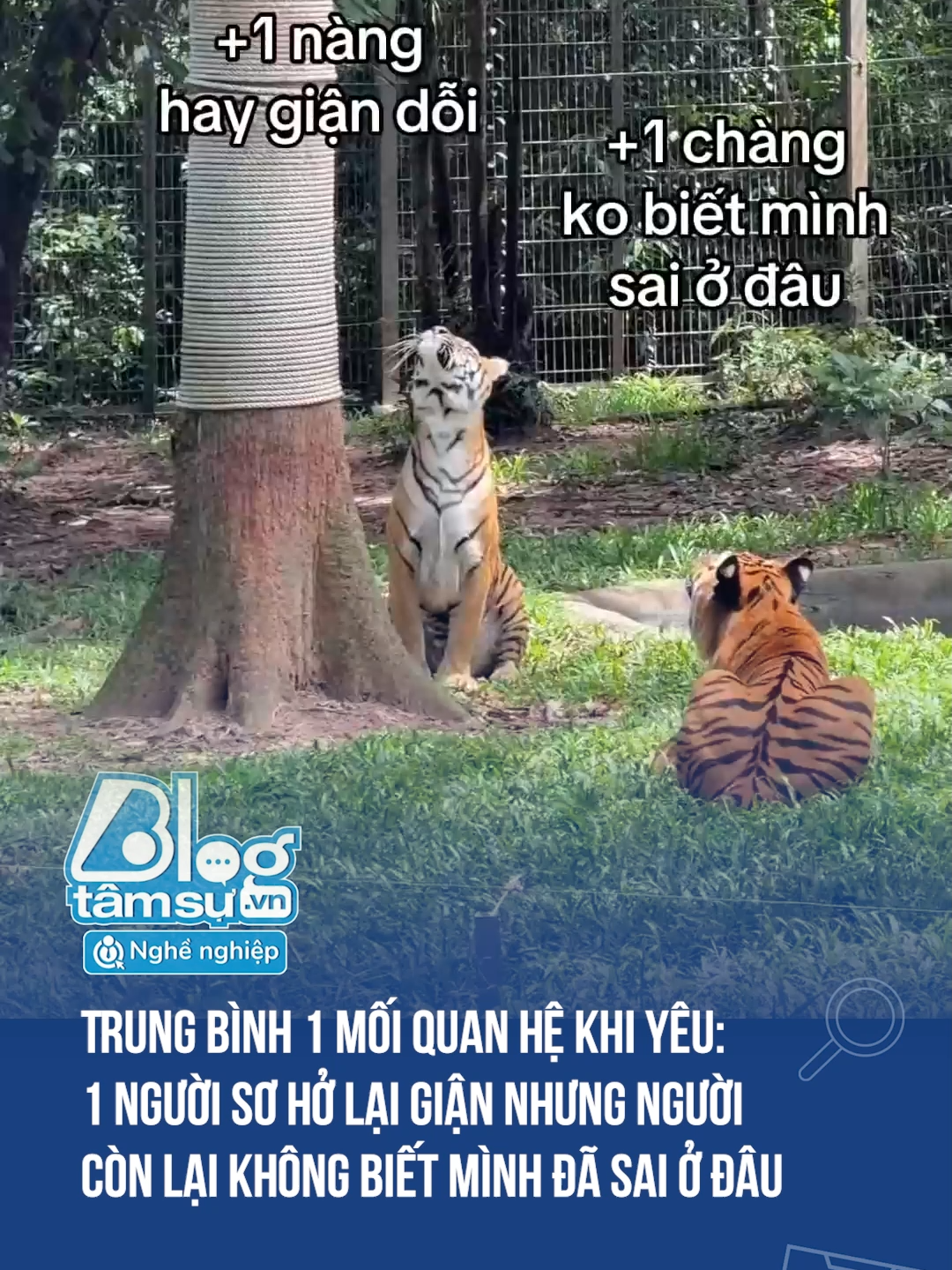 Cưng vậy, nhìn mà nhột ngang 🤣🤣🤣 #btsmedia #blogtamsu #funfact #xuhuong #haihuoc #viral #discover #troll