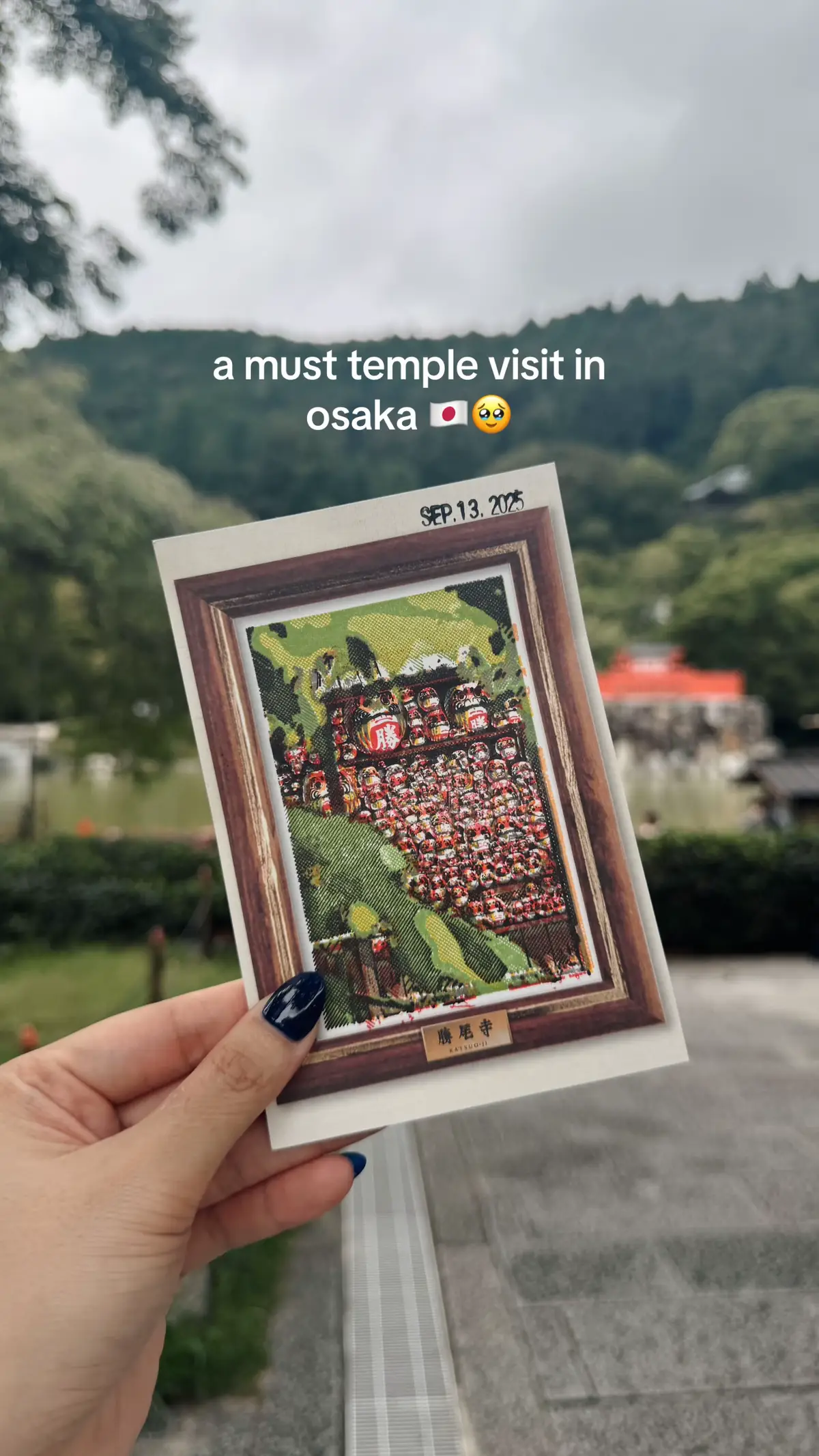 #daruma #osaka #katsuoji #temple #japan 