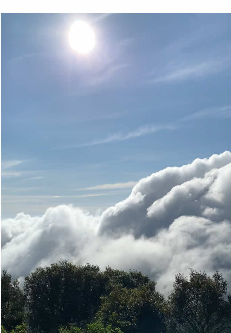 Bahan sw mu gais | #pendakigunung 