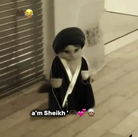 sheikha❤️💕👳🏽‍♂️😂 #roti 👳🏽‍♂️❤️🔥 #fypシ゚ #somali.tiktok #fyppppppppppppppppppppppp #viewsproblem💔😔 