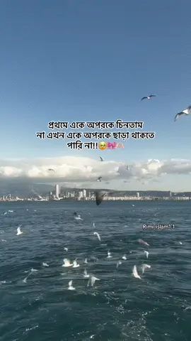 🥹🎀🫶🏻         #foryou #fypviralシviral #foryoupage #fyp #fyppppppppppppppppppppppp #fyppppppppppppppppppppppp #fyppppppppppppppppppppppp #fyppppppppppppppppppppppp #fyppppppppppppppppppppppp #trending #statusvideo @TikTok Bangladesh @For You House ⍟ @TikTok 
