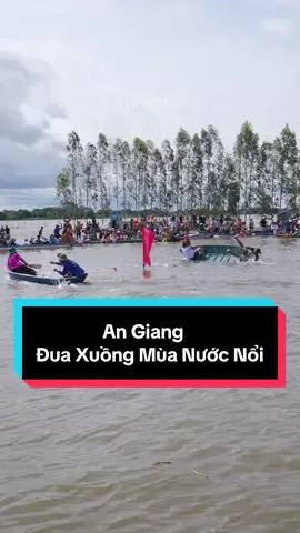 Tắm đồng An Phú An Giang.Hội thao đua xuồng,đua cây chuối,bắt vịt…trên đồng nước nổi.Ae An Giang quá vui quá đã!!! #tamdong #angiang #muanuocnoi #xuhuong #flyviewvn 