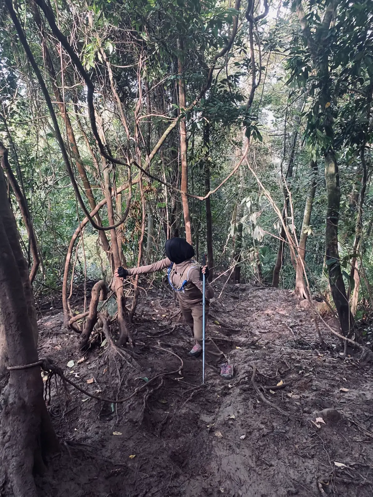 28 september 2025 @Gunung Pesawaran 1662 MDPL  #pendakigunung #gunungpesawaran #4u #xyzabc 