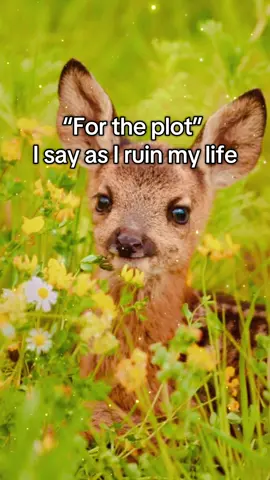I have no caption this is my life  #hopecore #deer #spirituality #crashout #relatable 