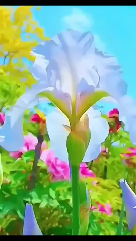 #خدني_ليك #صباح_الخير #حب #موسيقى_ورود #البرنسيسه 
