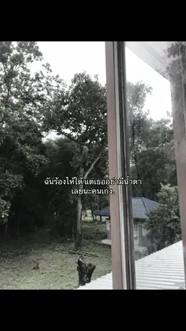 #เธรดความรู้สึก #ฟีดดดシ 