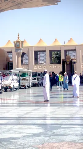 Part 725 | A kash Madinah mai mojy mout u ay 🥹🕌🤲🏻#virl #video #foryou #islamevideo #makka🕋madinah 