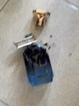 #fyp #versaceonthefloor #velixir #velixirapollo #apollo