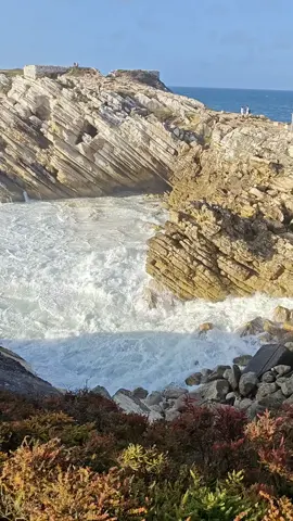 #beautifulbeach #ocean #searelax🌊 #foamwaves 