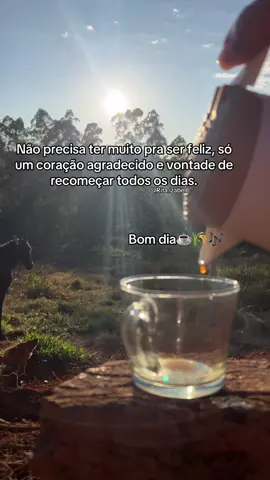Bom diaaa! Uma semana abençoada pra todos 🙌🙏🤍… #bomdiaaaaa #bomdia #rurallife #reflexiones #creatorsearchinsights 