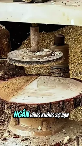 Đạo lý nghe để hiểu ! #sachhay #baihoccuocsong #trietlycuocsong #trietlysong #sach 