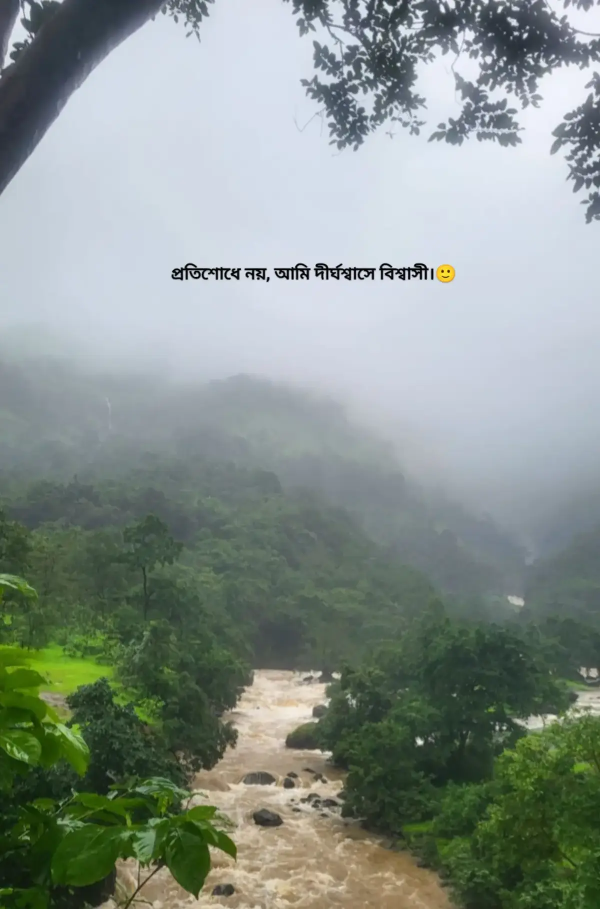 প্রতিশোধে নয়, আমি দীর্ঘশ্বাসে বিশ্বাসী।🙂 #fyp #foryoupage #viral #unfrezzmyaccount 