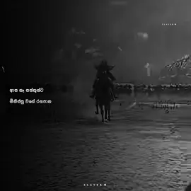 No caption #viral #foryou #foryoupage #sinhala_quotes #soulslayer4 