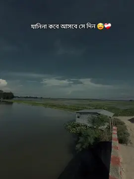যানিনা কবে আসবে সে দিন 😅😑 @Voice Of Shafi - 🎙️📚  #viralvideo #viralvideo #foryou #foryoupage 