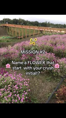 #fyppoppppppppppppppppppppppp #makeitviral #oops #flypシ 