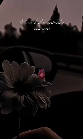 کسی ایک کے لیئے وفادار رہنا ۔۔۔ #fypシ゚viral🖤tiktok☆♡🦋 