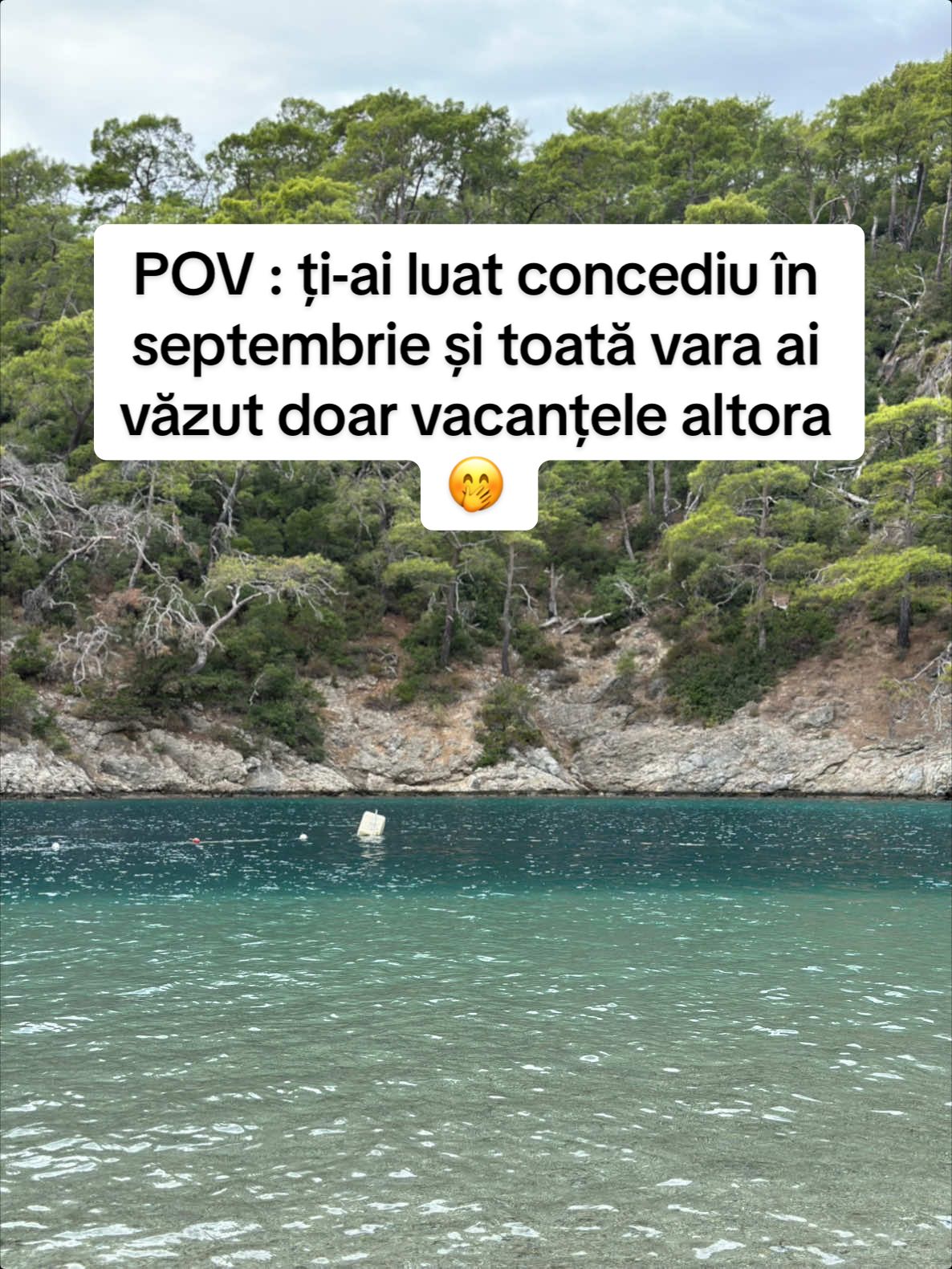Sorry not sorry 🤭🤭🤭