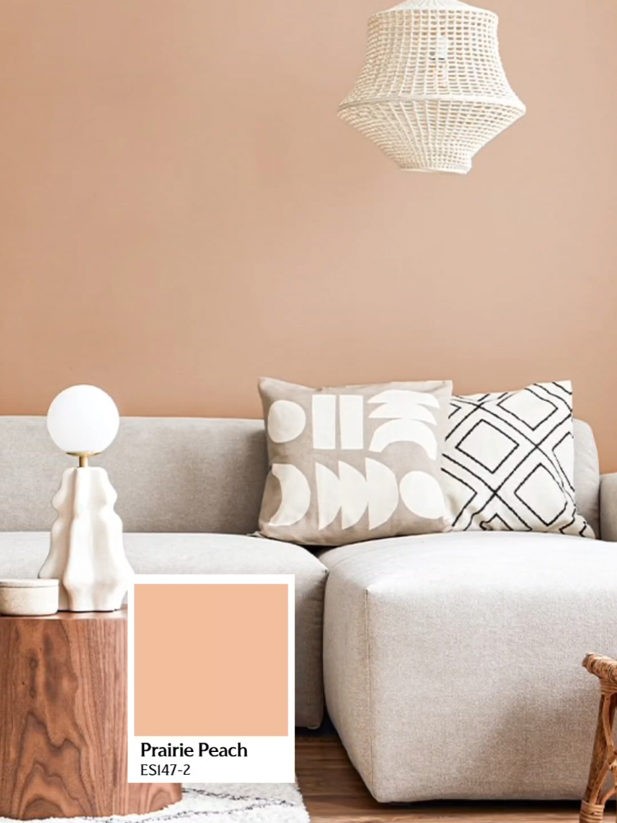 ​🛋️ Nak ruang santai anda nampak hangat dan vibe macam di kafe eksklusif? Kuncinya pada warna cat! ​Jom berkenalan dengan Prairie Peach (ES 147-2), cat interior premium ESLITE PRO dari ESTANA PAINT. Warna peach lembut ni memang confirm akan cipta suasana tenang, elegan, dan super cozy. Sesuai sangat untuk yang nak upgrade rumah ke level yang lebih chill! ☕ ​Dah sedia nak makeover rumah? Cepat-cepat tengok katalog warna ESTANA sekarang! ​#MakeoverRumah #CatPremium #InteriorDesignMalaysia #PrairiePeach #EstanaPaint