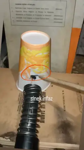 videolar çok iyi takip edin bolum . . . #fyp #fypage #kesfet 