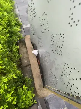 Quà trung thu của idol #@Dluong #xhhhhhhhhhhhhhhhhhhhhhhhhhhhhh #fyp #mexedo 