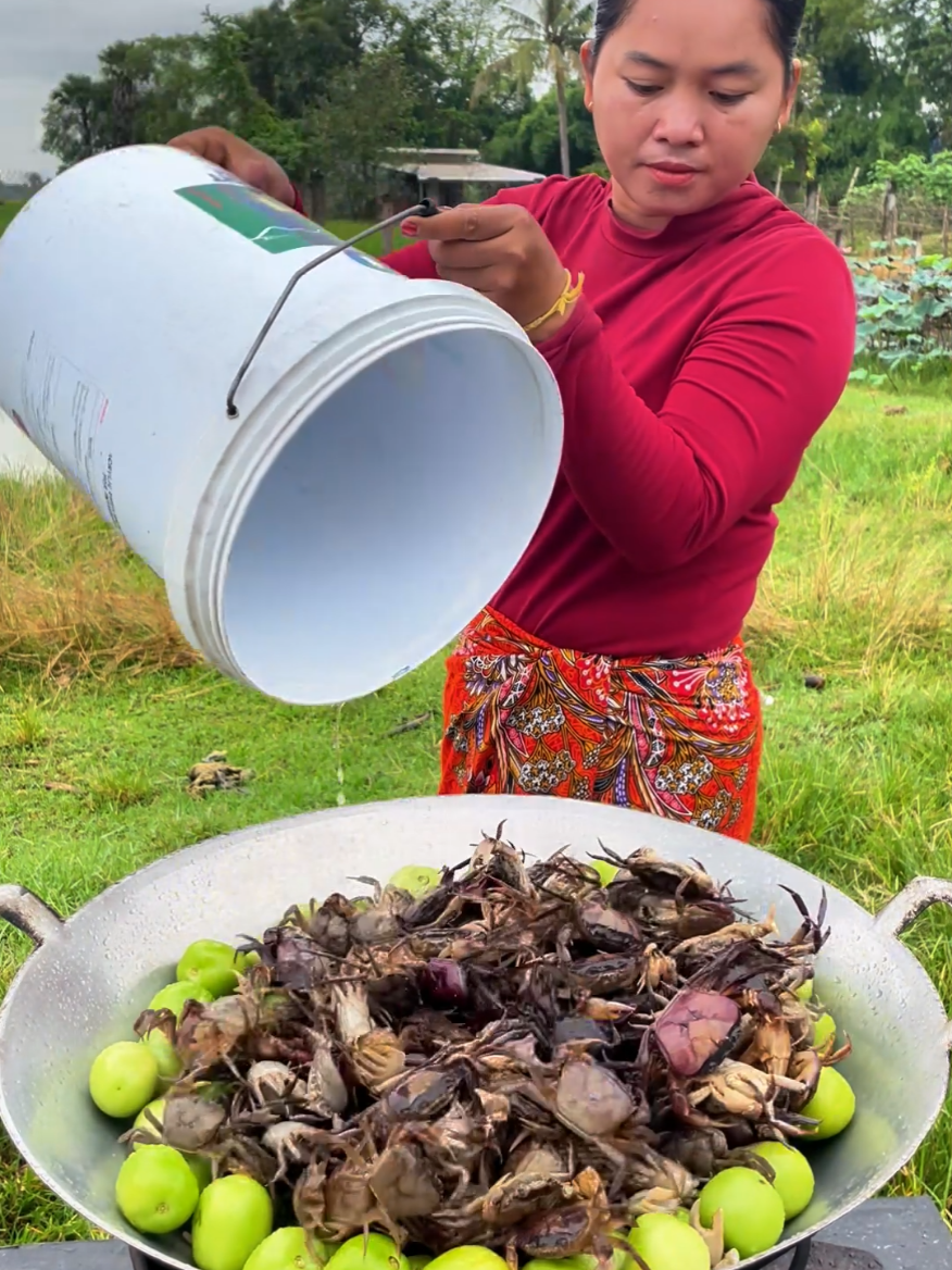 Yummy Fresh Crab Salad with Tomato #yummyfood 