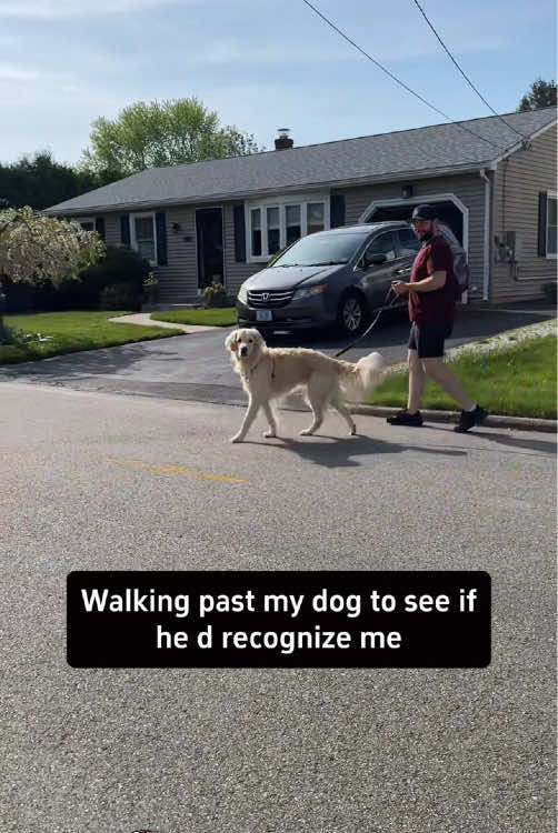 When my dog recognizes me, it reacts#fyp #dog #foryou #Love #doglover