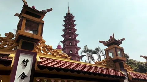 Series - Lang thang Hà Nội | phần 24 | Chùa Trấn Quốc #hanoi #fyp #vietnamtravel 