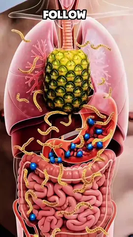 #anatomy #humanbody #3danimation #fyp #foryoupage❤️❤️ 